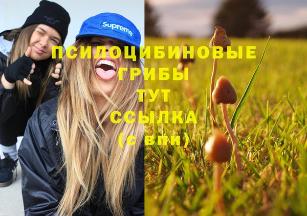 хмурый Медногорск