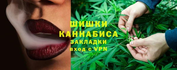 хмурый Медногорск