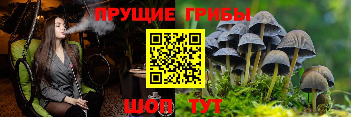 Псилоцибиновые грибы мухоморы  Краснокамск  Галлюциногенные грибы прущие грибы 