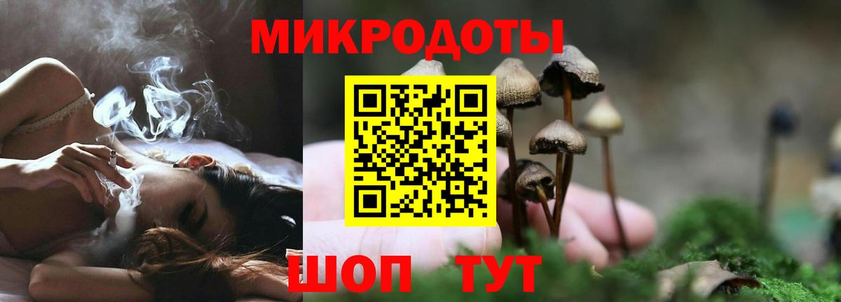 Псилоцибиновые грибы Cubensis Краснокамск