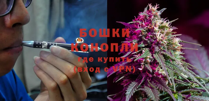 продажа наркотиков  Краснокамск  Бошки марихуана White Widow 